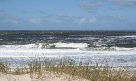 Groningen Seaports en Samenwerkende Bedrijven Eemsdelta: Kabinetsplannen wind op zee slecht voor het Noorden