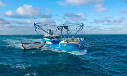 Damen Maaskant levert boomkorkotter Avanti aan de Belgische vissersvloot