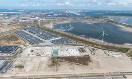 Havenbedrijf Rotterdam roept politiek op tot vasthouden aandacht energietransitie